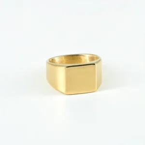 Bague en acier inoxydable