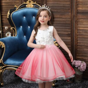 Robe de Princesse Rose pour Petite Fille